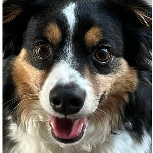 Meet your Posher, Meghan